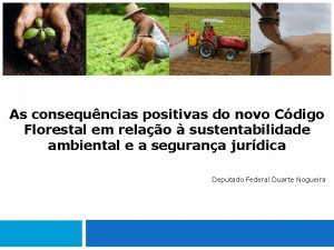 As consequncias positivas do novo Cdigo Florestal em