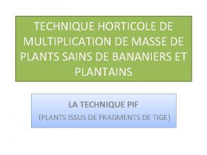 TECHNIQUE HORTICOLE DE MULTIPLICATION DE MASSE DE PLANTS