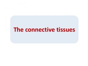 The connective tissues The connective tissues Connective tissue