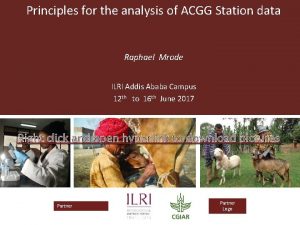 Principles for the analysis of ACGG Station data