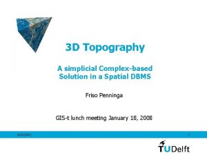 3 D Topography A simplicial Complexbased Solution in