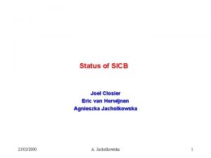 Status of SICB Joel Closier Eric van Herwijnen