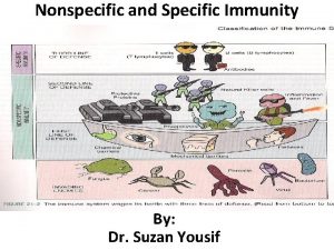 Nonspecific and Specific Immunity By Dr Suzan Yousif