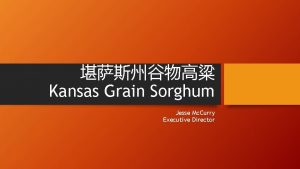 Kansas Grain Sorghum Jesse Mc Curry Executive Director