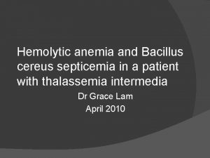 Hemolytic anemia and Bacillus cereus septicemia in a