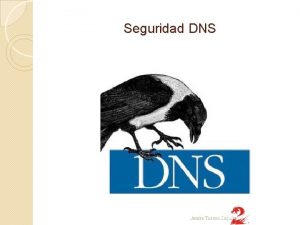 Seguridad DNS Jess Torres Cejudo Seguridad DNS El