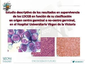 Estudio descriptivo de los resultados en supervivencia de