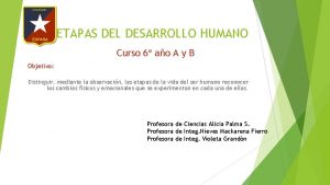 ETAPAS DEL DESARROLLO HUMANO Curso 6 ao A