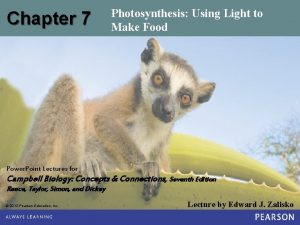 Chapter 7 Photosynthesis Using Light to Make Food