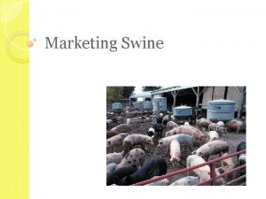 Marketing Swine Objectives Describe three methods of marketing