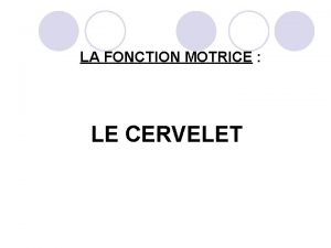 LA FONCTION MOTRICE LE CERVELET 1 INTRODUCTION Le