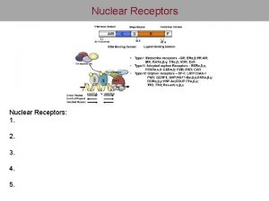 Nuclear Receptors 1 2 3 4 5 Nuclear