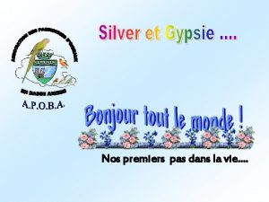 Nos premiers pas dans la vie Silver qui