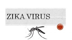 Zika virus l g Bnh do virus Zika