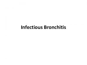Infectious Bronchitis Etiology Coronavirus Epidemiology Highly contagious respiratory