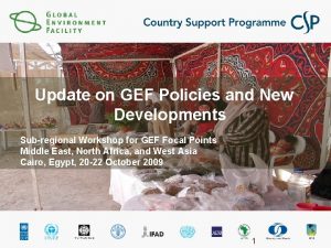 Update on GEF Policies and New Developments Subregional