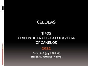 CLULAS TIPOS ORIGEN DE LA CLULA EUCARIOTA ORGANELOS