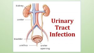 Definition The term urinary tract infection UTI usually