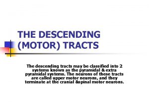 THE DESCENDING MOTOR TRACTS The descending tracts may