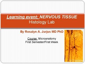 Learning event NERVOUS TISSUE Histology Lab By Rosalyn