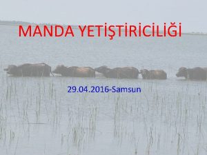 MANDA YETTRCL 29 04 2016 Samsun Avantajlar St