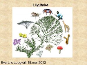 Liigiteke EvaLiis Loogvli 18 mai 2012 Eri liigikontseptsioonide