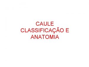 CAULE CLASSIFICAO E ANATOMIA CAULE CARACTERSTICAS rgo geralmente