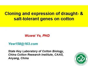 Cloning and expression of draught salttolerant genes on