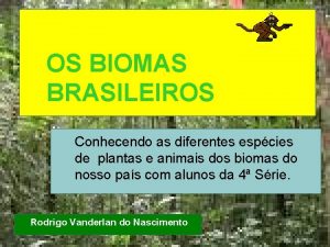 OS BIOMAS BRASILEIROS Conhecendo as diferentes espcies de