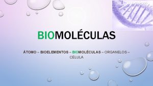 BIOMOLCULAS TOMO BIOELEMENTOS BIOMOLCULAS ORGANELOS CLULA INVESTIGA Y