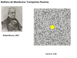 Biofsica de Membrana Transportes Passivos Robert Brown 1827