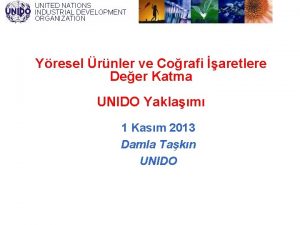 UNITED NATIONS INDUSTRIAL DEVELOPMENT ORGANIZATION Yresel rnler ve