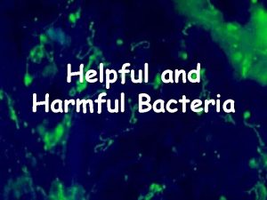 Helpful and Harmful Bacteria Helpful Bacteria Most bacteria