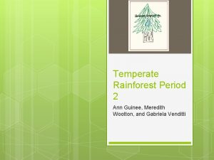 Temperate Rainforest Period 2 Ann Guinee Meredith Wootton