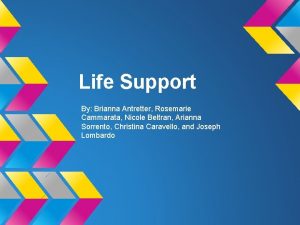 Life Support By Brianna Antretter Rosemarie Cammarata Nicole