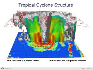 Tropical Cyclone Structure MM 5 Simulation of Hurricane