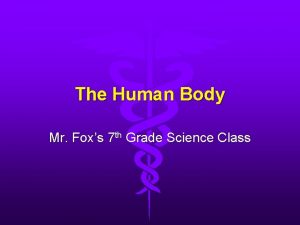 The Human Body Mr Foxs 7 th Grade