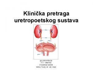 Klinika pretraga uretropoetskog sustava pp prezentacija IV r