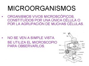 MICROORGANISMOS ORGANISMOS VIVOS MICROSCPICOS CONSTITUDOS POR UNA NICA