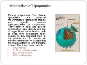 Metabolism of Lipoproteins Plasma lipoproteins The plasma lipoproteins