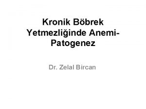 Kronik Bbrek Yetmezliinde Anemi Patogenez Dr Zelal Bircan