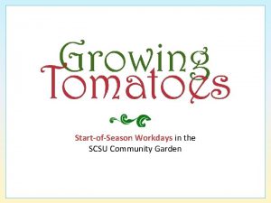 StartofSeason Workdays in the SCSU Community Garden Goal