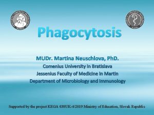 Phagocytosis MUDr Martina Neuschlova Ph D Comenius University