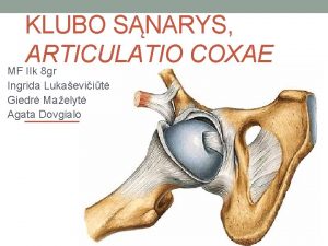 KLUBO SNARYS ARTICULATIO COXAE MF IIk 8 gr