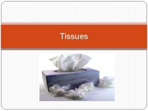 Tissues Four Main Categories of Tissues Epithelium Connective
