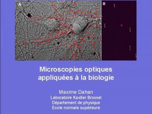 Microscopies optiques appliques la biologie Maxime Dahan Laboratoire