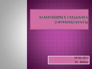 NMATODOSES TISSULAIRES EXTRADIGESTIVES 19022017 Dr Amiour NMATODOSES TISSULAIRES