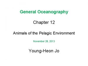 General Oceanography Chapter 12 Animals of the Pelagic