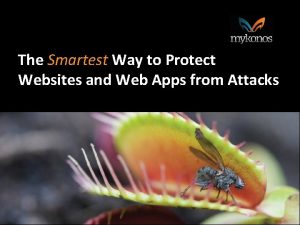 The Smartest Way to Protect Websites and Web