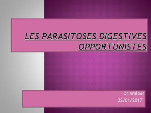 LES PARASITOSES DIGESTIVES OPPORTUNISTES Dr Amiour 22012017 Les